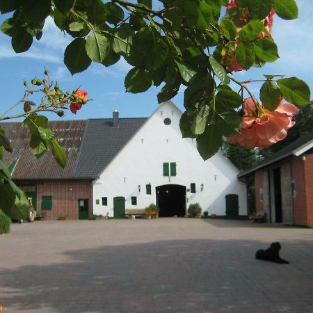 Appartamento Wrede-Hof Cappeler Niederstrich Esterno foto