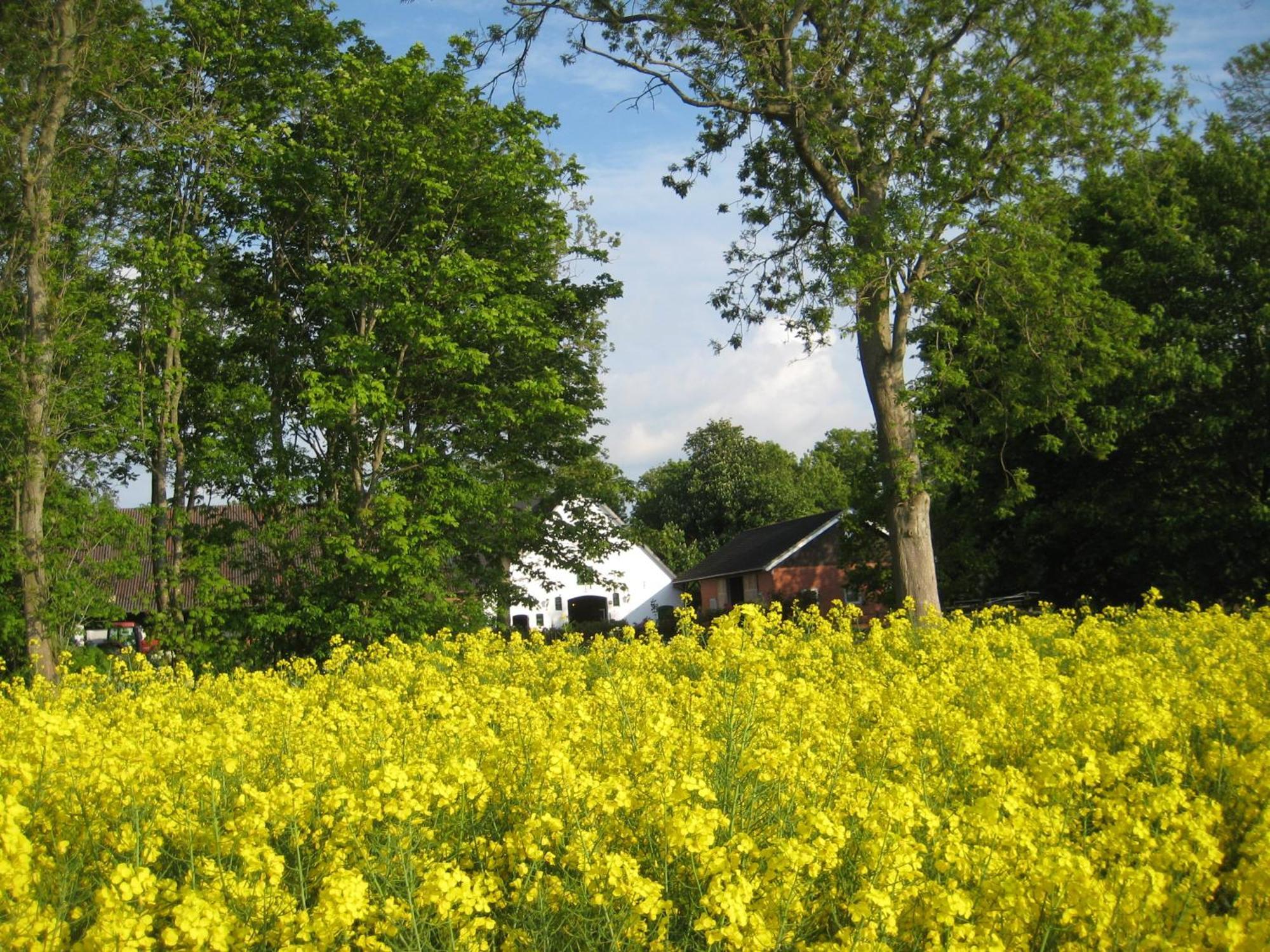 Appartamento Wrede-Hof Cappeler Niederstrich Esterno foto