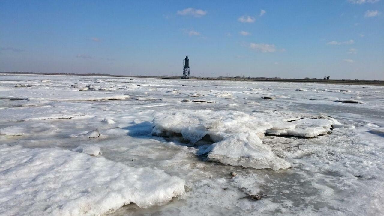 Appartamento Wrede-Hof Cappeler Niederstrich Esterno foto